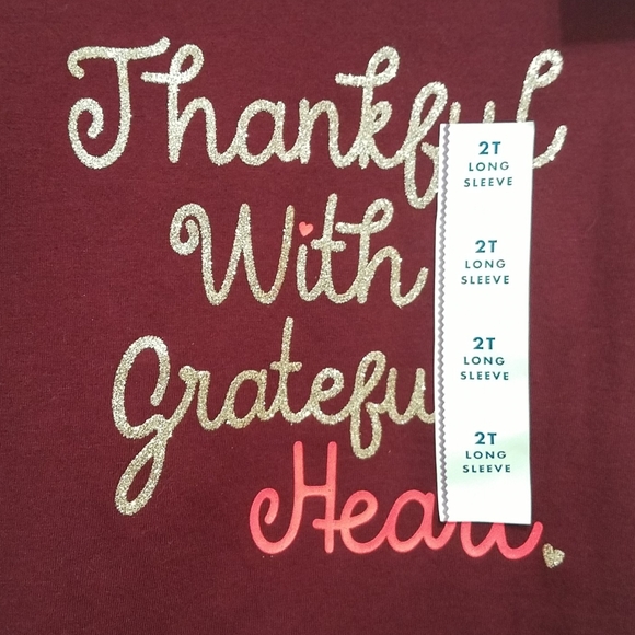 Cat & Jack Thankful With A Grateful Heart Shirt - Picture 2 of 5